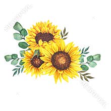 Watercolor sunflowers bouquet, hand painted sunflower bouquets, sunfower flower arrangement. Wedding invitation clipart elements.
