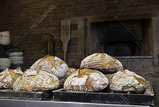 Freshly baked traditional breads with in background a classical oven for baking. Food icon, work place.