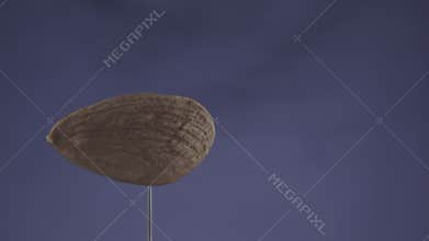 Almond rotating with loop on blue screen for chroma key