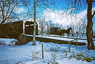 Winter scene with Amish buggy
