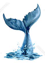 Whale tail in the ocean, splashing water, whale on isolated white background, watercolor illustration