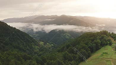 Misty fog blowing over pine mountain forest aerial. Rainy weather in morning sunrise. Spruce trees