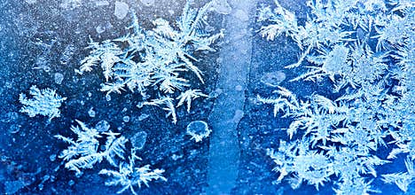 Frozen ice flowers