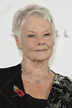 Dame Judi Dench,
