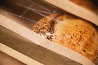 a loaf of white artisan hot bread in a paper bag with transparent inserts on a white background. Healthy food. Homemade