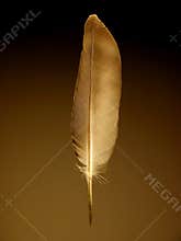 Feather
