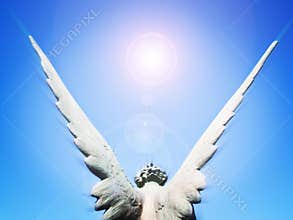 Angel wings and sun light