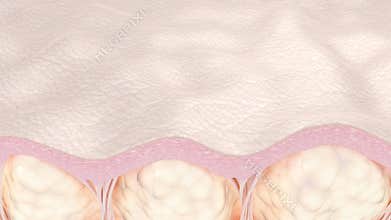 Cellulite skin treatments effect