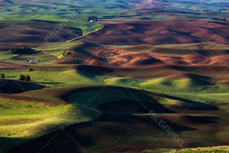 Rolling hills spring