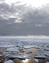 Ice floating in Arctic Sea