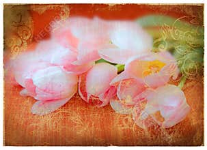 Grunge pink tulips page