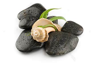 Zen spa stones with sea shell