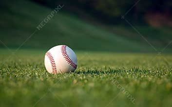 Baseball on the field