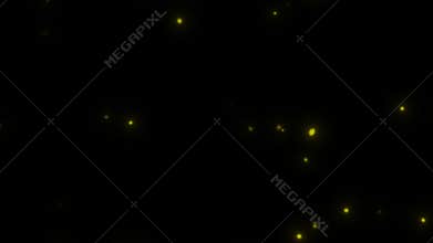 View of Flying Fireflies Glowing at Night with Flying Motion
