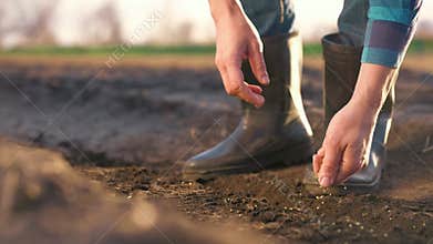 agriculture. farmer hands planting seeds. business a plant agriculture concept. farmer hands is planting garden seeds in