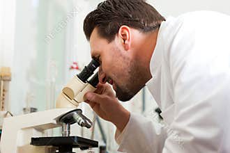 Beer Brewer in food laboratory examining