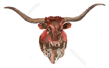 The Texas Longhorn watercolor portrait