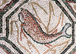 Fish - Floor mosaics