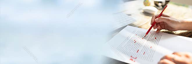 Script Grammar And Spelling Edit