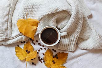 Autumn Awakening: A Cup of Warmth and Delight