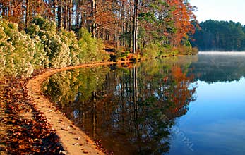 Fall by the lake