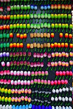 Colourful Fridge Magnet in Tulip shape and design