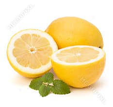 Lemon and citron mint leaf