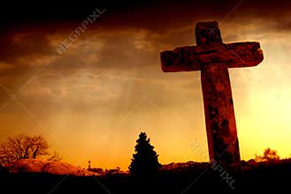 Cross