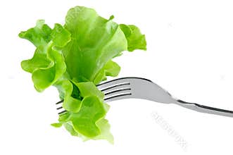 Lettuce on fork