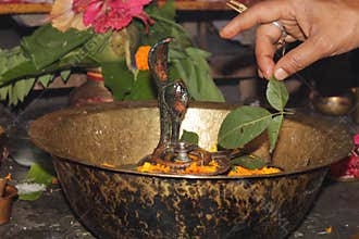 Hindu Devotees offering milk And Water to Shiv Lingam on occasion of Abhishekam in India . Offering Flower and bael leafs