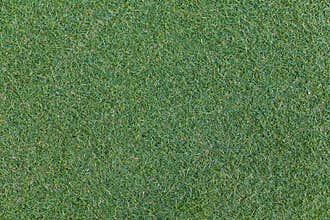 Green artificial grass floor texture and seamless