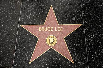 The star of Bruce Lee
