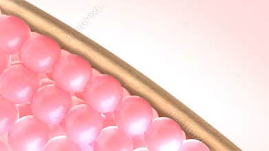 Cream or Serum drops onto the dark skin. Then the dark skin cells change to bright and healthy skin. lightening cream and skin car