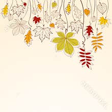 Autumn falling leaves background