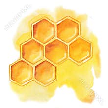 Honeycomb with honey, bee product isolated on white background. Close-up watercolor illustration. Packaging and wrapping