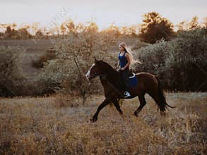 Pretty horsewoman riding dark horse on field in fall. Concept of farm animals, training, horse racing, nature.