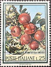 Italian postage stamp from the Flora series depicting an apple tree.