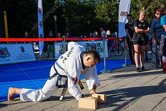 Tang Soo Do martial arts master performance. Breaking bricks