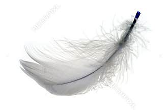 Feather 2