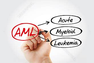 AML - Acute Myeloid Leukemia acronym