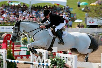 Horse Rider at the Bromont jumping competition