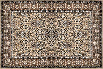 Oriental Ornate Traditional Carpet Texture