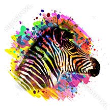 Colorful zebra artisticlion  in the jungle color art