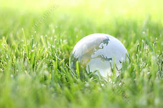 Earth in nature eco bio grass