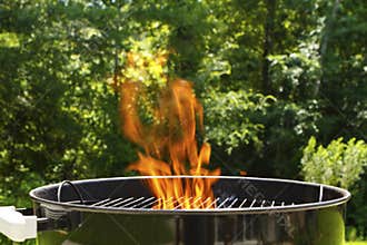 Flaming Barbeque Charcoal Grill