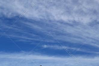 Cirrus Cloud
