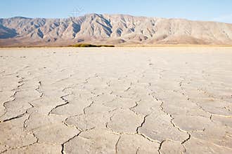 Desert