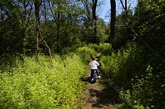 Young boy biking in the forrest