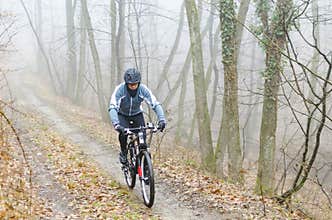 Mountain biker riding in the forrest