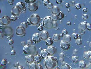 Bubbles